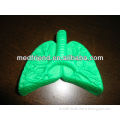 MF2089 Lung Shaped Stress Reliever-- welcome samll orders